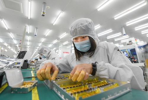 信息技術(shù)賦能，武漢都市圈加壓奮進(jìn)打造全國(guó)高質(zhì)量發(fā)展新增長(zhǎng)極